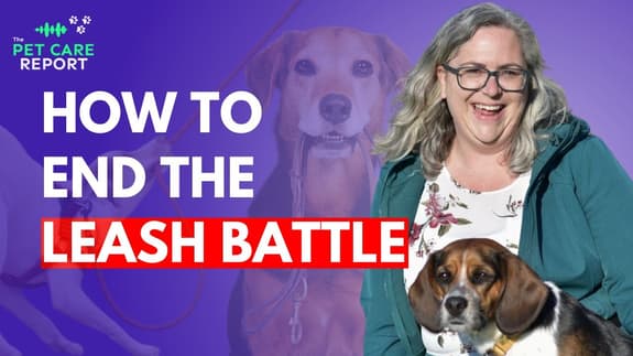 Why Dogs Pull and How to Stop It