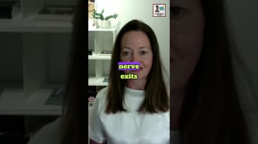 Mindfulness made Simple!  Michelle Davies  ||  DIVORCE RECOVERY MEN OVER 40