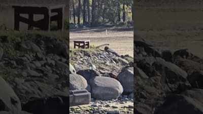 Lake Huron water is way down 3 to 4 ft or more, WOW.