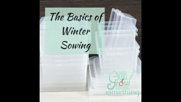 Ep. 131 - The Basics of Winter Sowing: Seed Starting Outdoors