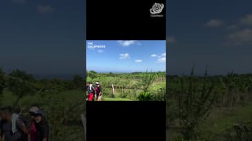 Check Out This Farm! A Solo Spring Adventure in the Galápagos  with Globe Aware( Clip 3)