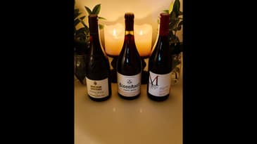 High QPR Pinot Noir #2!