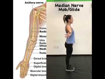 Decrease Neural Tension in the Upper Extremity