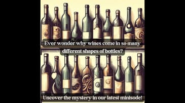 Minisode #11  Does the Shape of a Wine Bottle Matter?