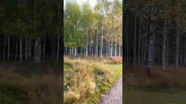 Mitt vuxna jag förstör mitt liv!