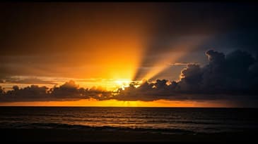 The Lord's supper...