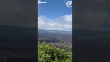 What Is This Location!? A Solo Spring Adventure in the Galápagos with Globe Aware ( Clip 19)