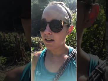 MICRO MOMENTS! Reforestation Project