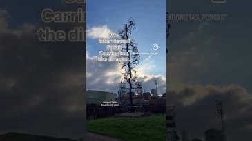 Ready for an ART HIKE? Discover The Line, east London’s hidden gem. #artwalk