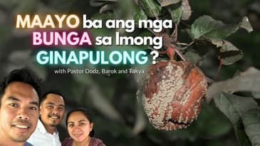 Ang mga Pulong Mo Kay Usa ka Salamin sa Imong Kasing-kasing