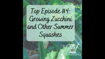 Top Episode 4: Growing Zucchini - Ep. 174