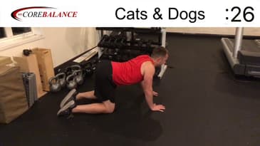 Cats & Dogs AKA “Cat Cow” - Spinal Flexibility | Chris Janke-Bueno