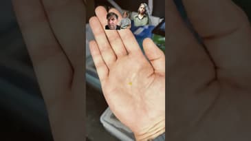 Which bug with my husband hold ￼￼￼