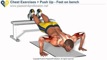 Bench Press Up - perfect push up exercise - feet on bench