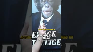 The AIP ape’s name