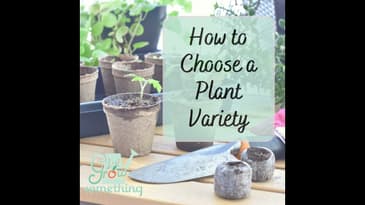 How to Choose a Plant Variety - Ep. 179
