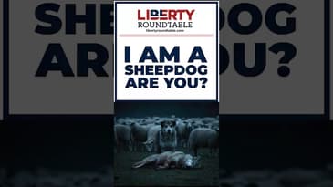 I am a Sheepdog, are you?