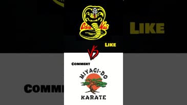 Cobra Kai vs Miyagi-Do: Average Intelligence Polls