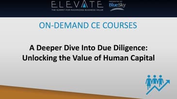 Register for Blue Sky's Elevate Online Summit for Trusted Business Advisors