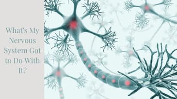 What's My Nervous System Got to Do With It?