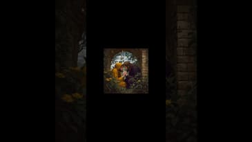 Theoria #shorts - 7/7  #philosophy #poetry #meaning #faith #jesus #theoria #introspection