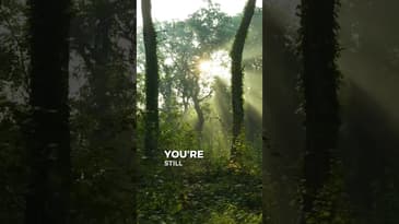 Divorce / Just Surviving Is a Victory!  ||  DIVORCE RECOVERY MEN OVER 40