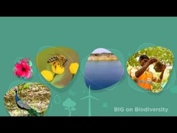 bio diversity in ABG