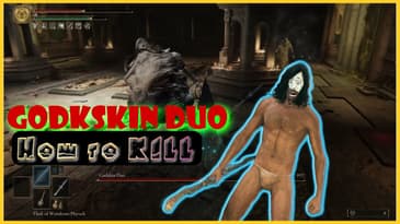 How to Kill Godskin Duo