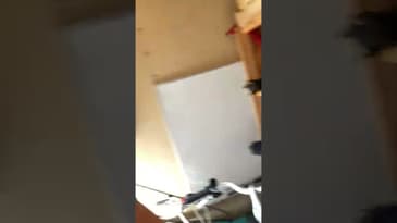 Salve-cykeln! (Verklighetens "Moppo"…