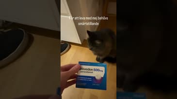 Han har det inte lätt…