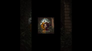 Theoria #shorts - 4/7  #philosophy #poetry #meaning #faith #jesus #theoria #introspection