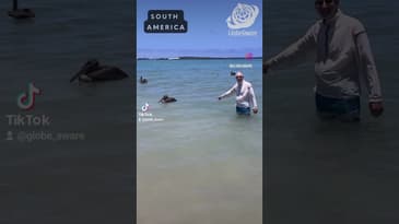 I'm not sad...! South American Wildlife