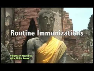 PART 1: A TRAVELER'S HEALTH GUIDE