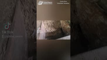 THIS IS COSTA RICAN SUGAR PROCESSING! Orosi Valley Corporate Group ( Nov.2022)