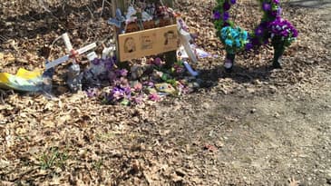 The Delphi Murders Murder Sheet episode #87 On Internet Predators