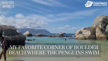 My Favorite Corner Of Boulder Beach Where The Penguins Swim In South Africa!