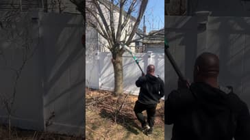 LiTHELi 40V Cordless Pole Saw in action