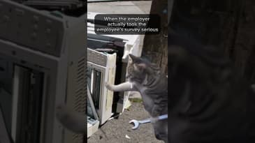 honest employee surveys 😉😂 #workplacememes #workhumor