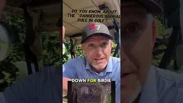 Gator near ball. Risk the shot for a birdie? 🐊What would you do #GolfLife #GatorGolf #FloridaGolf