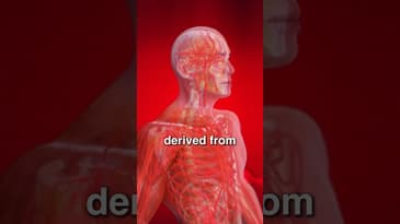 What Are Peptides? #peptides #protein #biology