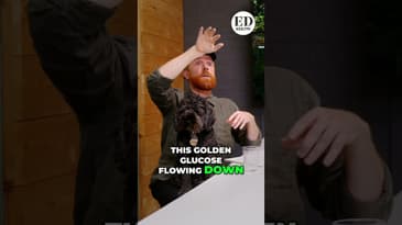 Trees Are Rivers: Unlocking Nature's Secrets & Environmental Rights! #shorts