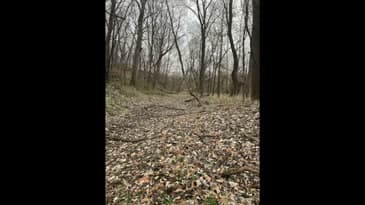 The Delphi Murders Murder Sheet Episode #40 : The Sketches