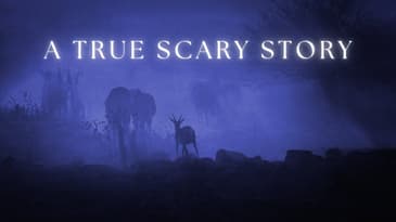 Encounters in the Desert (Real Caller Story) - True Scary