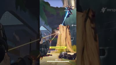 Punisher damage is actually insane when you do this #gaming #fps #meta