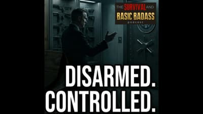 Gun Control or Government Control? The Real Debate