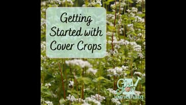 Getting Started with Cover Crops - Ep. 166