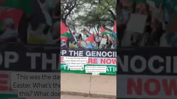 #short Stay in the Gray Podcast Video Easter parade #podcast #easter #parade #fyp