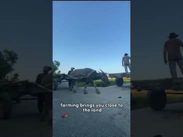 Rice Granary of the Philippines