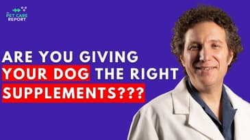 Essential Supplements and Nutrition To Keep Your Dog Living Longer