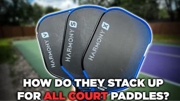 Pickleball Apes Harmony First Impression & Comparison